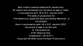 غريب شيلي سيدة