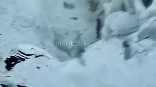 ش٠قراء