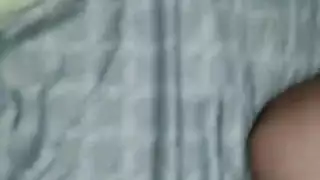 سيباا