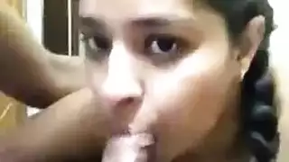 سوط الديك الأسود هواة الفرنسية
