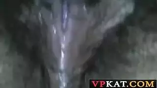 ثاقب وقحة يتحمل