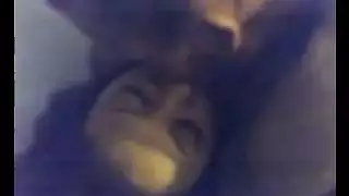 احا يا بنت الزنا على كسك اللى فشخاه بالخياره احلى نياكه واحلى شرمطه ي