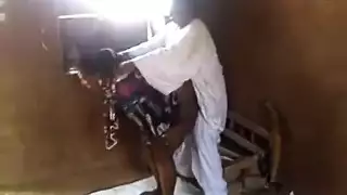 يحفل عليها