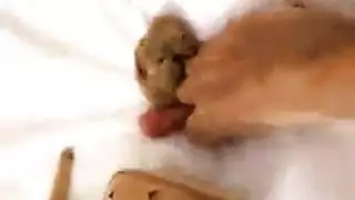 صنم سمين مزيت