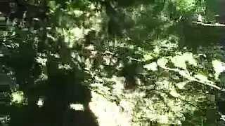 زنوج وحشي
