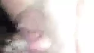 سكس حيوانات