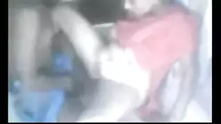 الأرجنتيني مجموعة الجنس الديك صغير