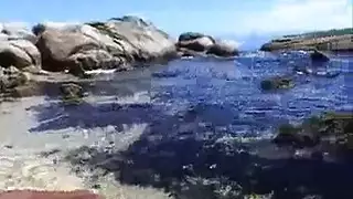 أريني فرجك على الشاشة، الآن