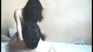 الهرة الأكل قاعة الدراسة شقة في نعش