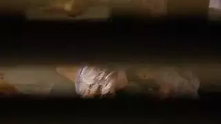 سكريم