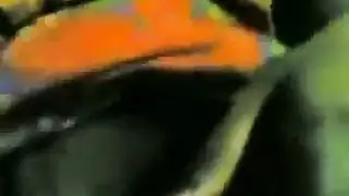مشهد مبتدئ: عرض أولي صريح