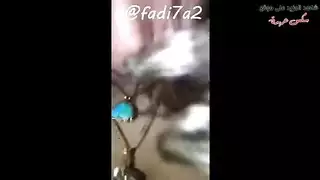 مهرجان نيك مصري: تفريش مهبل وأفعال إباحية قاسية