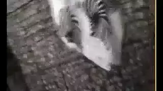 سكس مراكش