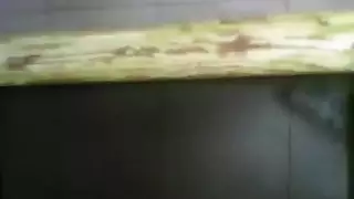 حاجات جديدسكس