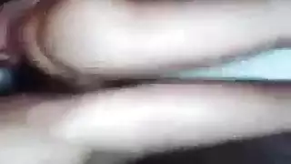 بورنوحشية: مشهد جماعي لكلاب إباحي
