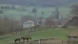 احلى سكس تركي