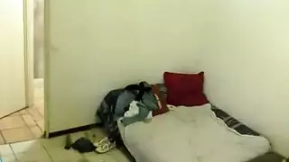 بوصة الديك التشيكية في العام مثلي الجنس ومستقيم