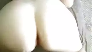 بوصة الديك الثدي وهمية برازيلي