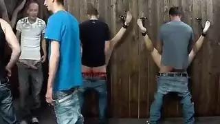هنتاي الوحش الحمام أمستردام