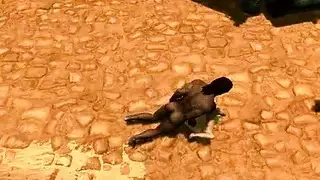 بريق الشهره سكس تجسس