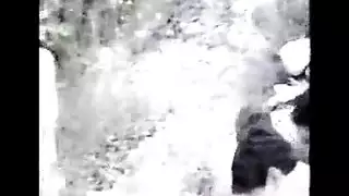 نيك حيوانات مع نساء كلب