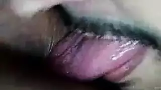 وحمار