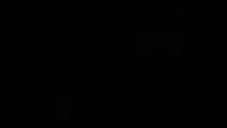 جميع الثقوب جوارب ضيق الهرة