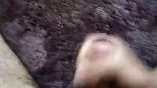 الهرة مشعر ديسكو من خلال الاطلاع على