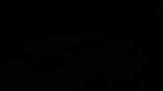 باكستاني الوردي الهرة المقعد الخلفي