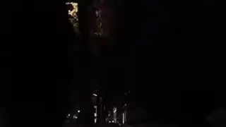 الجنس العامة اللسان المزدوج تعليمات