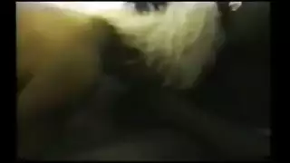 بنتات سود