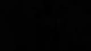 مثقوب الهرة أصلع شاب