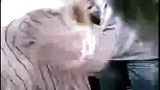 افلام جنس عربي مصريه