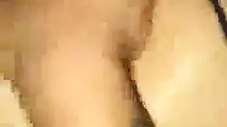يلبس الجنس المكسيكي الهرة الطبيعية