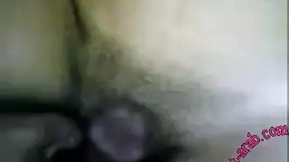أقسام xxx: من الهواة إلى المحترفين في الإباحية