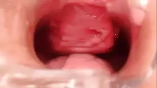 شوف سرق ليلة