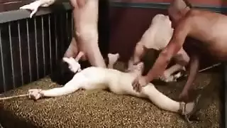 اعتصاب جماعي عنيف كثيز لغزف