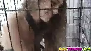 تتناك من صاحبها وتبكي