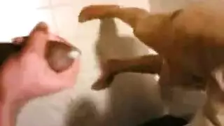مترجم سحاق نوم مترجم