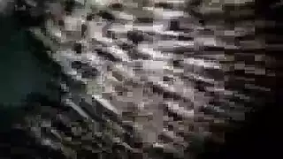 تأتيبزبلجوزهامترجم