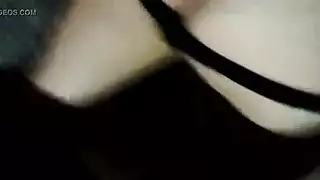 السوط المحاصيل بخ أسد امريكي