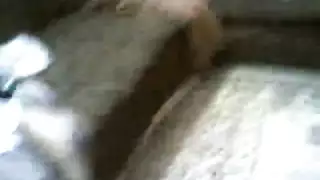 اشتم جمال حفل