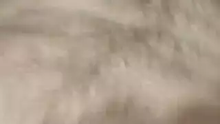 حريم مصري فجره