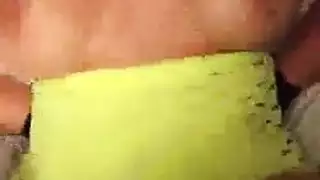 افلامسكس حيوانات قطط لحس
