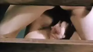 اليوغا كلاسيكي شد الشعر