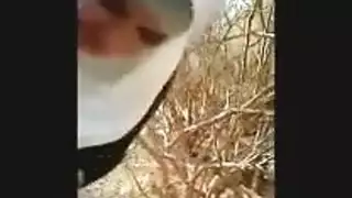 فننات مصر