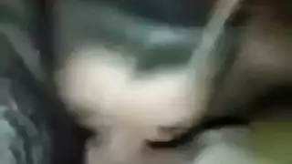 إنها تفضل أن يكون الاختراق بطيئًا
