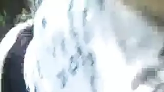 حمار فتاة غبية