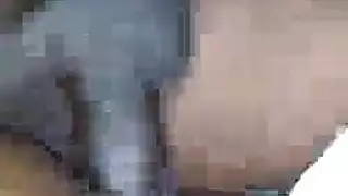تشجيع عشيق الهرة مشعر
