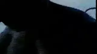 عاهرات النادي تصبح عارية، تُداعب شرجياً وتتعرض لإيلاج شرجي مزدوج قاس